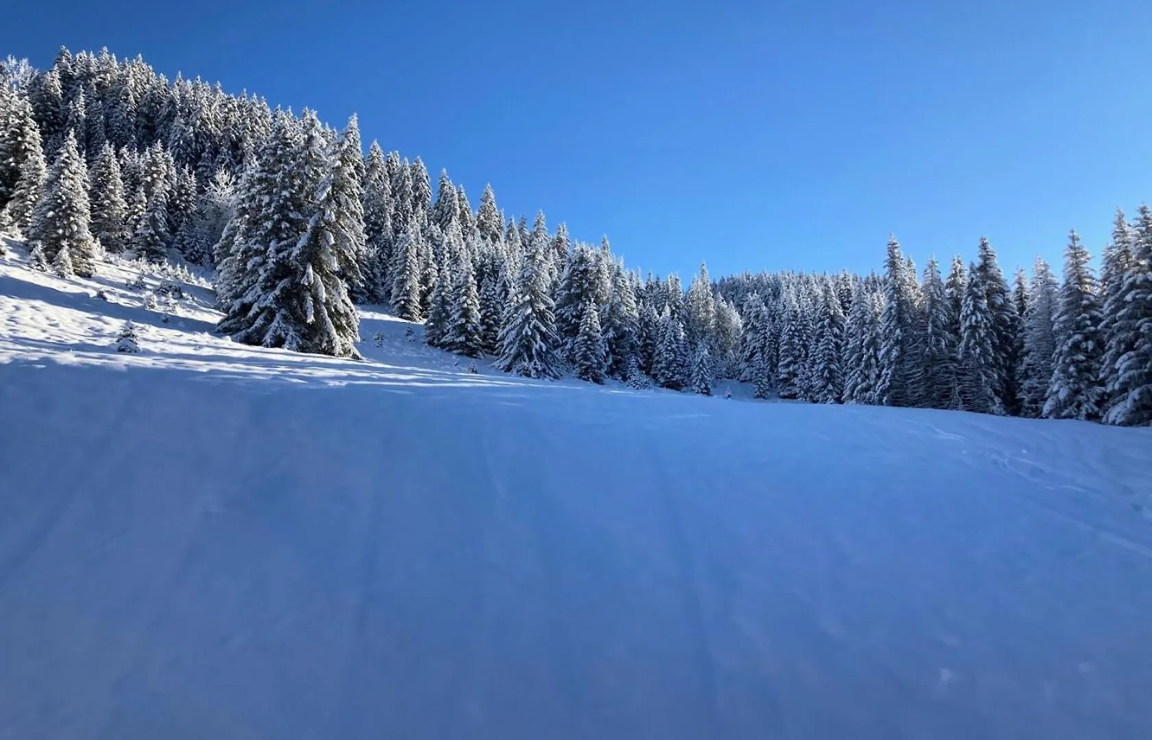 Residence Ariondaz Hellebore - Superbe Appartement Expose Sud Au Pied Des Pistes Mae-2554 Courchevel Appartamento