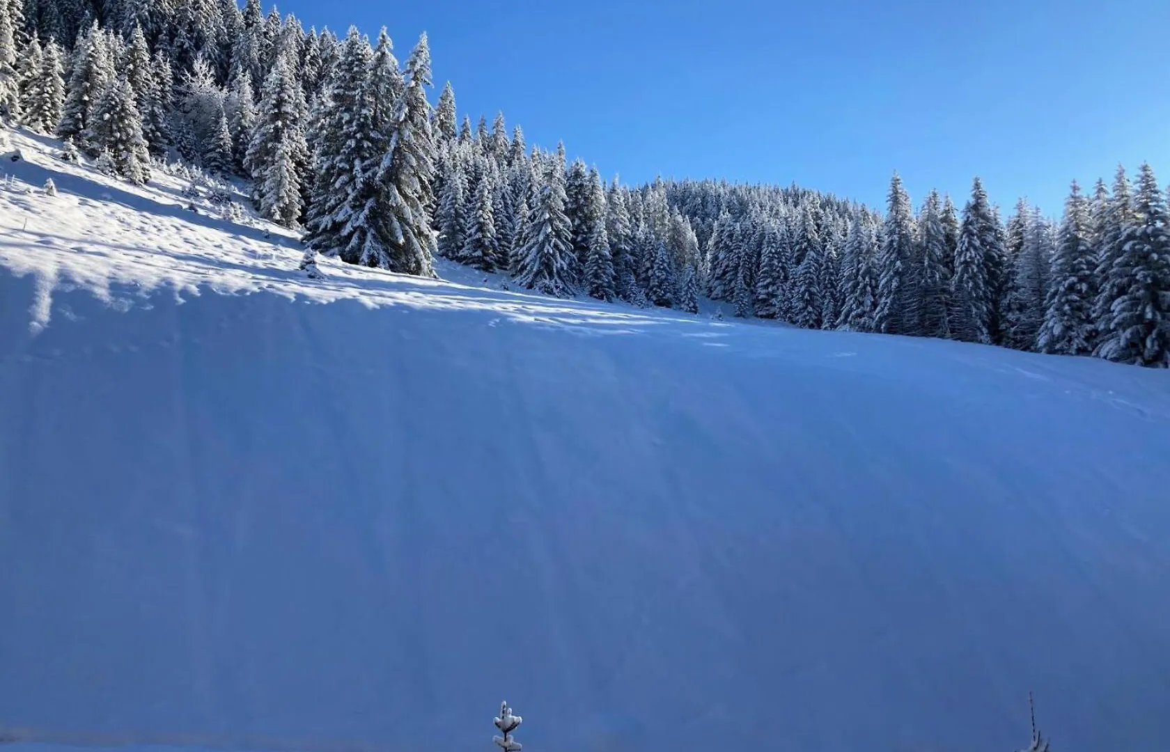 Apartment Residence Ariondaz Hellebore - Superbe Appartement Expose Sud Au Pied Des Pistes Mae-2554 Courchevel France